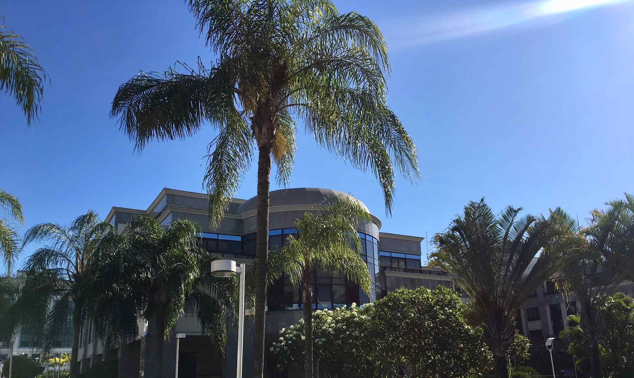 IMG_3973_Easy-Resize.com (1).jpg